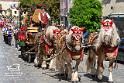 Foto Laudi_ Volksfestzug-14
